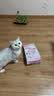 皇家猫粮 幼猫猫粮 幼猫奶糕 K36 通用粮 4-12月 2KG 实拍图