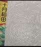 十月稻田 糯米 5斤 东北圆粒糯米 五谷杂粮米 包粽子糯米饭 酿米酒 实拍图