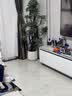 叹为观止大型植物发财树各种大颗盆栽开业乔迁客厅办公室内好养大型花卉 造型鸭脚木【1.5-1.7米】 含盆 实拍图