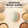 逸清源绿壳土鸡蛋30枚/2.4斤 营养早餐鸡蛋健康轻食 鸡蛋礼盒装 实拍图