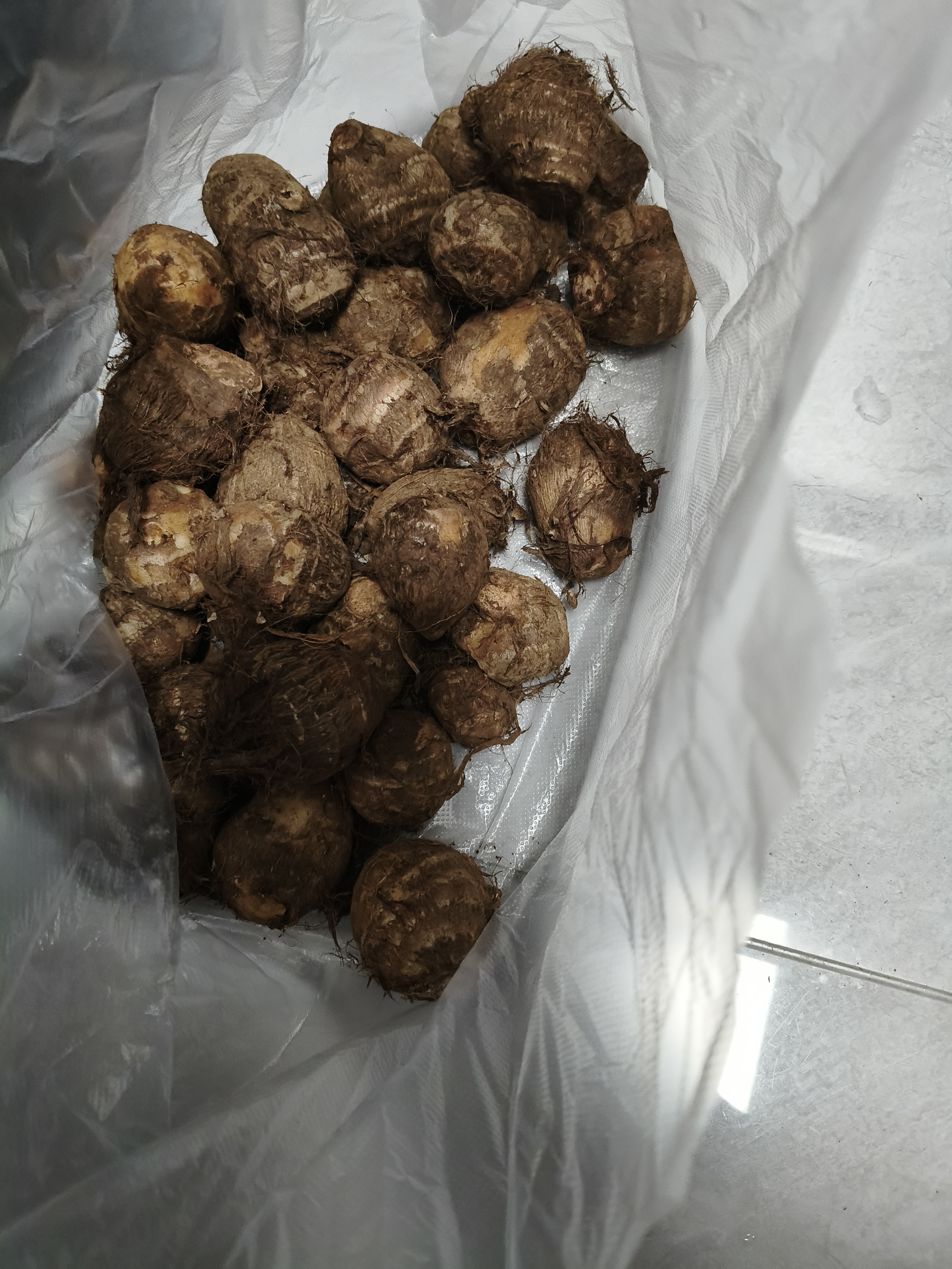正宗山东牛奶小芋头礼盒芋头芋艿香糯新鲜现挖当季蔬菜过节送礼 牛奶小芋头带箱2斤 实拍图