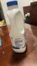 三元原味风味发酵乳1.8kg/桶 家庭装  配料简单 酸牛奶 低温酸奶 实拍图
