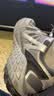 美津浓（MIZUNO）【吴曦同款】新款男女运动鞋子休闲加厚保暖防泼水跑步鞋RACER S 实拍图