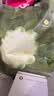 babycare爆款山茶花一次性内裤女士孕妇XXL码15条【安全灭菌】 实拍图
