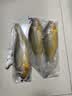 三都港 冷冻黄花鱼700g/2条装 新鲜大黄鱼 深海鱼 生鲜 鱼类 海鲜水产 实拍图