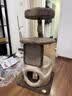 兽牌树屋猫爬架猫树猫窝一体小户型不占地豪华猫屋实木柱大猫冬季保暖 小树屋经典色 实拍图