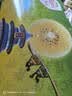 佳沛（zespri）新西兰金奇异果22粒巨大原箱146-175g猕猴桃水果礼盒 实拍图