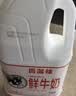 香满楼 搅拌型原味酸奶酸牛奶2kg*1桶 桶装家庭装原味酸奶 儿童酸奶 实拍图