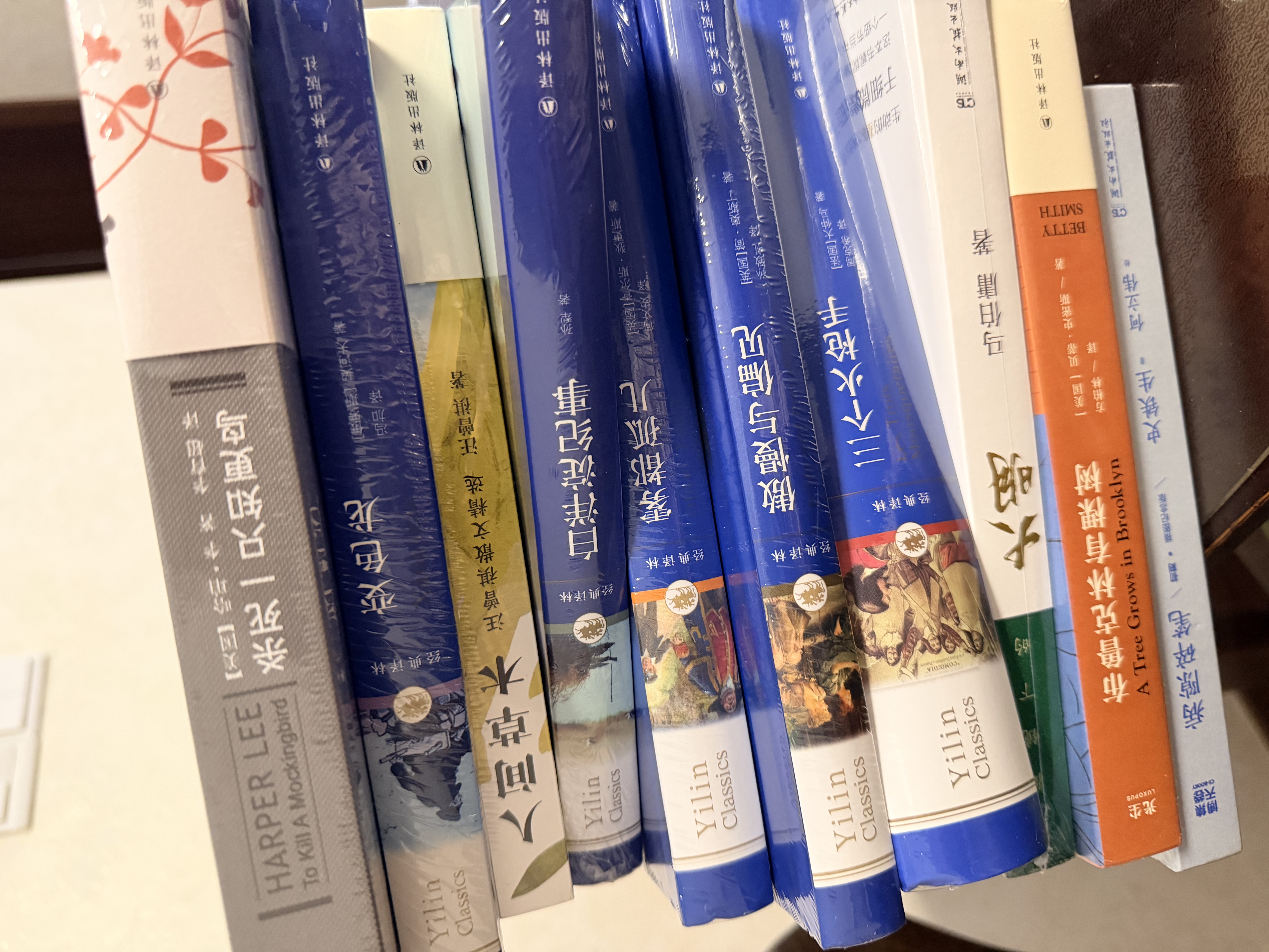 杀死一只知更鸟（新）（豆瓣9.3，关于勇气与正义的成长教科书，影响全球5000万家庭的“教养宝典”，奥巴马、贝克汉姆、奥普拉鼎力推荐） [To Kill a Mockingbird]  实拍图