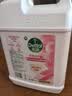 滴露（Dettol）洗手液补充装大桶消毒滋润5L 儿童家庭装杀菌护手 实拍图