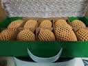 佳沛（zespri）新西兰金奇异果10粒巨大果146-175g猕猴桃水果礼盒 实拍图