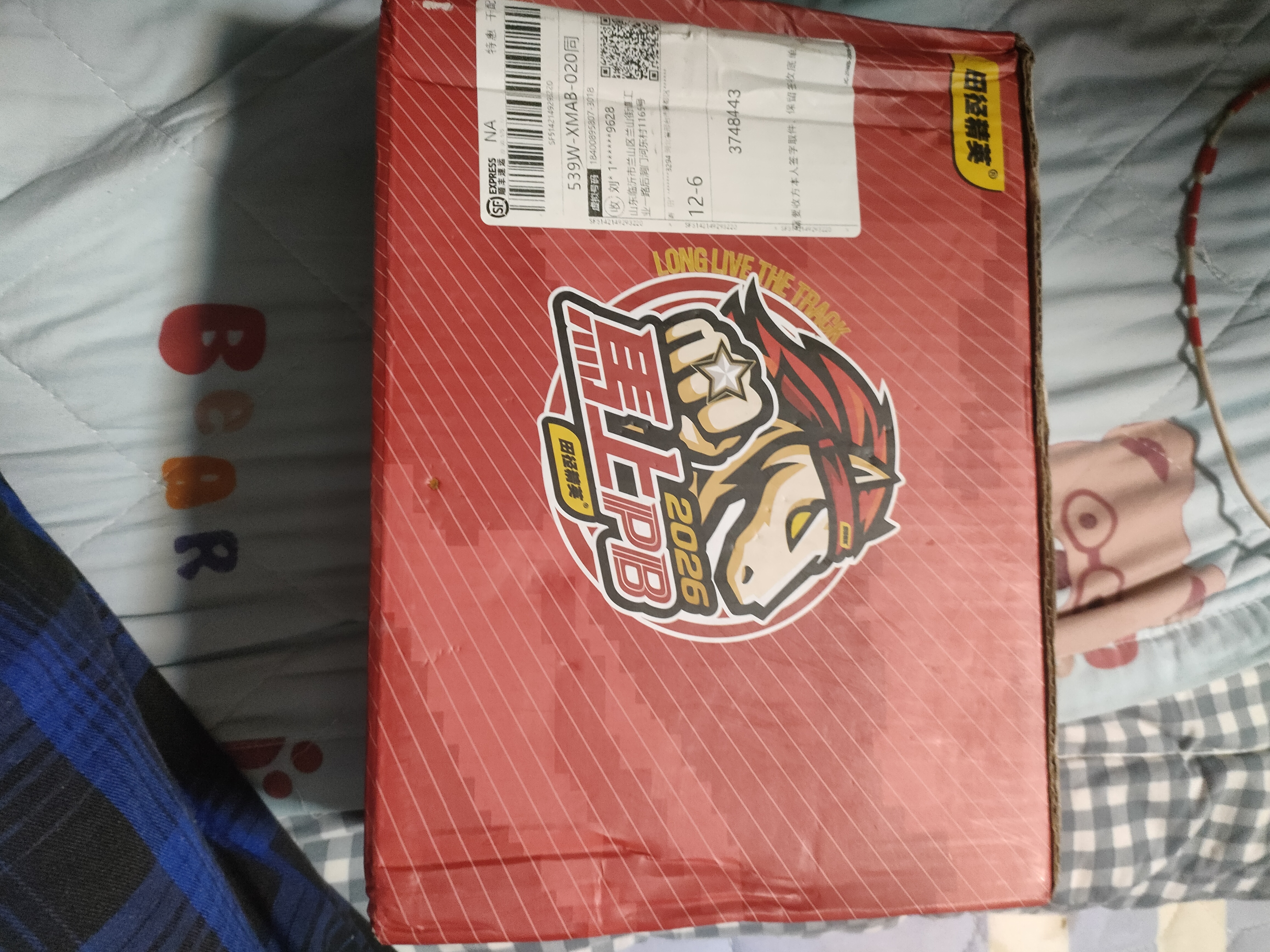 田径精英高精度通用鞋钉子 钉鞋配件田径精英专业比赛训练高耐磨钢钉碳钉 订单赠钉专用/勿拍 实拍图