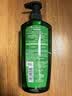 欧莱雅茶树植萃洗发水控油去屑洗发露700ml(男女 无硅油 去屑净油) 实拍图
