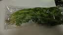 【火锅季】带根香菜100g 实拍图