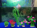 美吉氏 鱼缸造景仿真荷花水草水族箱装饰前景布景套餐摆件 套餐二 实拍图