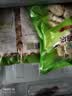 上鲜东京风味大鸡排 1.08斤 鸡胸肉空气炸锅速食麦肯炸鸡烧烤美食大赛 实拍图
