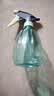 喷壶浇花浇水喷雾器气压式喷水壶家用园艺养花500ml 南瓜喷壶透蓝【1个装】 实拍图