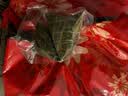 五芳斋粽子 端午节嘉兴粽子特产 中华老字号 3味6粽 五芳风味粽袋装760g 实拍图