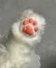 Chongker宠客淡三花猫背包仿真玩偶公仔毛绒玩具安抚送礼女生生日礼物 实拍图