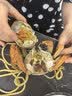 【活蟹】鲜京采鲜活大闸蟹 全母蟹4.0两4对8只 去绳足重蟹类海产螃蟹现货礼盒 实拍图