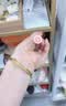 橘朵（Judydoll）【Baby亲选】缎光唇粉霜口红唇釉淡唇不沾杯送女友S01无花果生巧 实拍图