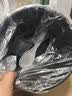美的（Midea）家用电压力锅5L 智能预约多功能一体电高压锅电饭煲4-6人开盖煮火锅煲汤炖煮高压电饭锅MY-E523 实拍图
