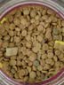 凯锐思【宠乐安心】成犬15kg 中大型小型犬金毛边牧通用狗粮囤货装30斤 实拍图