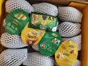 佳沛（zespri）新西兰金奇异果12粒特大果124-146g猕猴桃水果礼盒 实拍图