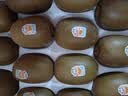 佳沛（zespri）新西兰金奇异果22粒巨大原箱146-175g猕猴桃水果礼盒 实拍图