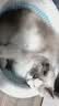 欢宠网猫咪驱虫项圈狗狗猫宠物狗猫圈除跳蚤猫猫幼猫小猫小狗体外去跳蚤 实拍图