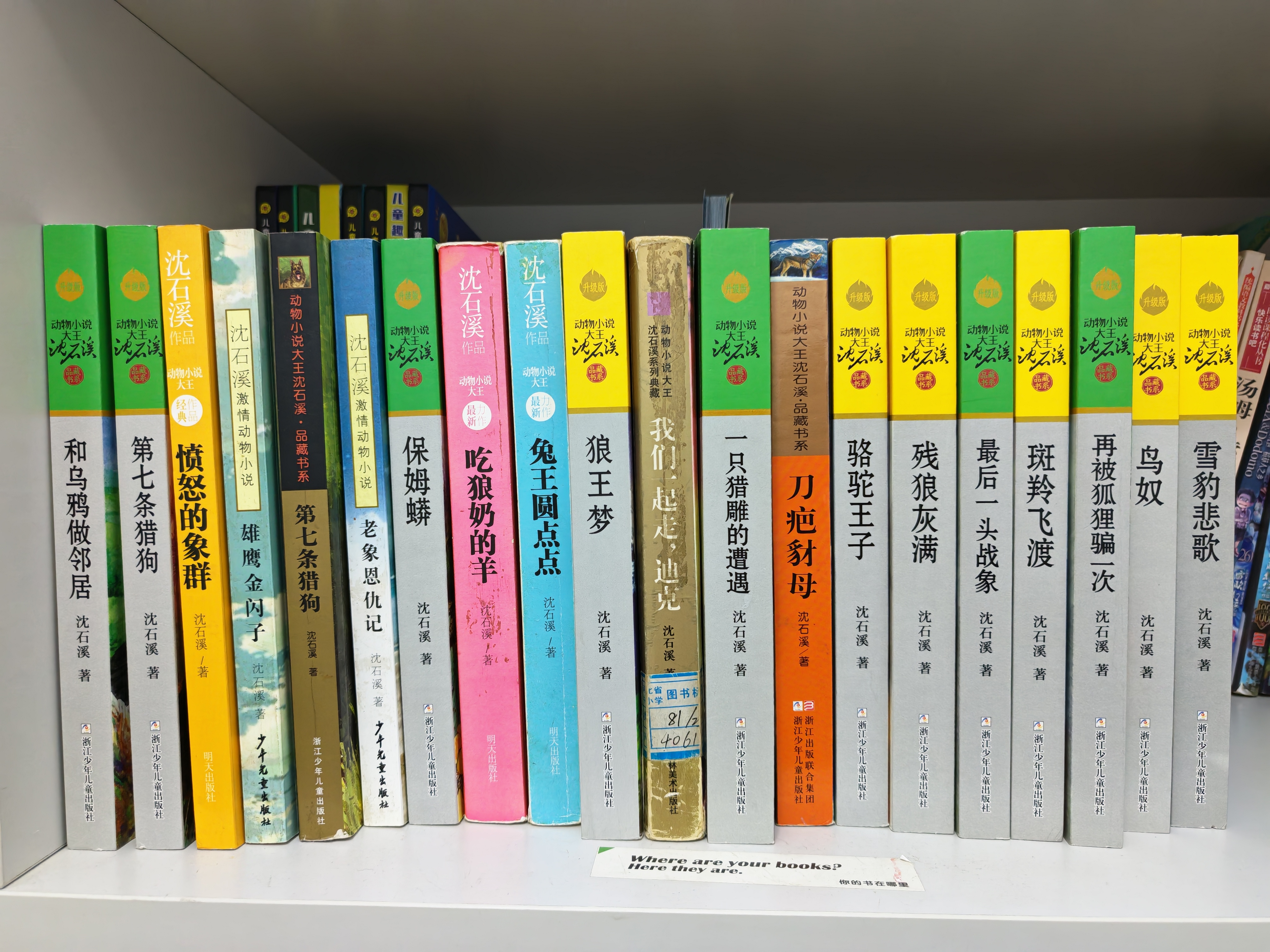 动物小说大王沈石溪品藏书系新版（青红特辑套装共12册）儿童文学故事书 童书 课外阅读 课外书 暑期阅读   省钱卡 实拍图