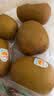 佳沛（zespri）新西兰金奇异果10粒巨大果146-175g猕猴桃水果礼盒 实拍图