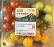  【安心菜】供港基地多彩便当番茄400g  实拍图