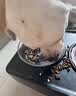 LEGENDSANDY蓝氏狗粮真鲜乳鸽中小型犬泰迪比熊生骨肉冻干鲜肉犬粮1.5kg*6包 实拍图