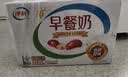 伊利早餐奶 新疆红枣250ml*16盒*1箱 礼盒装 实拍图