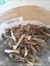 十月稻田 鹿茸菇 150g 高蛋白 脆嫩提鲜 山珍菌菇干货 炒菜煲汤火锅食材 实拍图