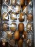 佳沛（zespri）新西兰金奇异果22粒巨大原箱146-175g猕猴桃水果礼盒 实拍图