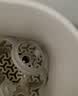 贝亲（Pigeon）自然实感第三代宽口径奶瓶双把手（简约灰） 原装配件BA148 实拍图