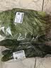 大菠菜300g 实拍图