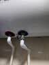 美的（Midea）长效免换镁棒60升2500W 一级能效 40倍耐用加热管 家用储水式电热水器 国家补贴15% F6022-PC1(HE) 实拍图