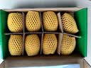 佳沛（zespri）新西兰金奇异果8粒特大果124-146g猕猴桃水果礼盒 实拍图