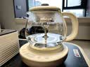 小熊（Bear）煮茶壶喷淋式煮茶器 小型一人蒸茶壶养生壶 迷你养生烧水壶 1升 ZCQ-H10D1 礼物 实拍图