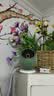 鸿蒙智选华为智慧生活800万摄像头监控家用360度无死角带夜视全景可对话视频 室内母婴宠物看护器海雀雀蛋S 实拍图