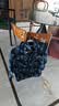 左西男童牛仔衬衫外套薄2026新款儿童春秋装上衣男孩衣服 牛仔色 140 实拍图