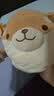 名创优品（MINISO）趣味阿柴柴犬小狗玩偶抱枕毛绒娃娃学生午睡枕沙发靠枕生日礼物 实拍图