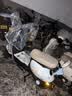 金箭电动摩托车 灵彩60V20AH铅酸电池长续航800W大动力踏板电动轻便摩托车电动车积木蓝 实拍图