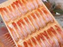 美加佳去壳甜虾刺身单盘27只（共5盘135只350g）即食北极甜虾火锅聚餐 实拍图