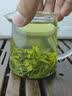 御恒春日照绿茶2026新茶春茶散装袋装茶叶特级浓香型板栗香特产绿茶 500g送赠品6选一 实拍图