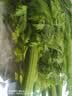 有机西芹400g 实拍图