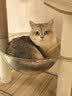 唐米吉吉加粗大型猫爬架猫窝猫树一体太空舱猫架子小户型不占地剑麻猫玩具 【146cm性价比款】破价冲量 实拍图